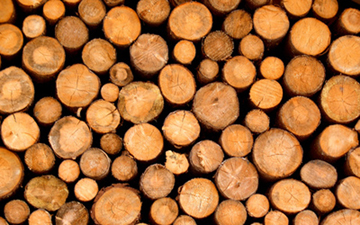 Suecia, el país europeo con una industria de madera más circular